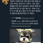 [드루와] 인스타에서 핫한 강아지ㄷㄷㄷ