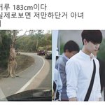 [NCT] ㅈㄴ웃곀ㅋㅋㅋㅋㅋㅋㅋ