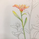 [댓글부탁해] <b>색칠</b>한거 어떰..?