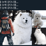[강다니엘] <b>남들</b>이 볼때 강다니엘