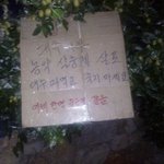 낼 졸업식인데 머입지