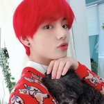 [드루와] 드라마 <b>피노</b>키노 아는 사람