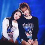제니랑 <b>리사</b> 이짤 힐링된다