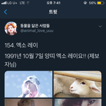 [EXO] <b>왕따</b> 레이라는줄;