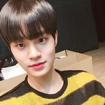 [이대휘] <b>꿀벌</b> 이대휘