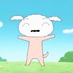 히히히 칼하트 후집 주문했당