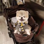 <b>무좀</b> 생겨번 적 잇는 새럼...