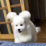 얘들아 나 중1인데 ㅃㄹ들어와봐