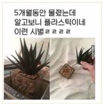 얘들아 나 망한듯
