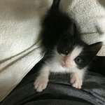 <b>영계</b>아니어도 좋으니 ㅁㅈ 보고싶다..