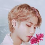 [모두드루와] 요정미 개오진다는 아스트로 컴백 컨셉포토 ㄷㄷ