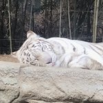 [조언부탁해] 님들 <b>저</b> 다이어트하는데 2개월 10<b>키</b>로 가능한지 봐주셈