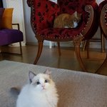 [강다니엘] 강다니엘 인별 강루니 강<b>짱아</b>!