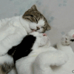 <b>니</b> <b>옆</b>에 누워있고싶다.