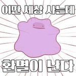 [세븐틴] 팬들을 어떻게 생각하는지는 알고있었지만
