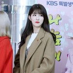 [댓글부탁해] 이 연예인들 공통점이 뭐야?