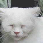 (<b>미방</b> 있음) 이런 여드름 피부는 관리 어떻게 해야 됨?? ㅠㅠ