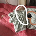 [댓글부탁해] 애들아 나 잘곳이 없어