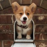 니네 취향 <b>서준</b> 기준 추반