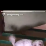 [댓글부탁해] <b>홍원</b>이 갱얼쥐 귀엽다 추반