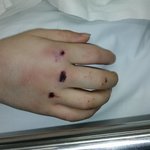 오빠가 <b>MT</b>서 청부살인 당했습니다 은폐주범이 교육부장관