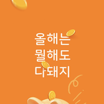 다 <b>돼지</b>