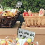 위너 아이콘 서포트 차별