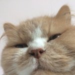 [댓글부탁해] 신기한 <b>문구</b> 공유하자..