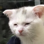 [댓글부탁해] 우리<b>집</b> 못사는데 <b>새</b>학기때