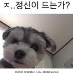 근데 솔직히.......... 얼굴 못생기면 마음이 <b>안</b><b>감</b>