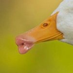 [댓글부탁해] 졸업식날에 담임한테 <b>문상</b>주려는 엄마