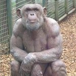 [댓글부탁해] 완벽한<b>타인</b> 보고 울엇다 추반