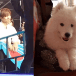 [강다니엘] 강다니엘 ㄹㅇ <b>도로</b>멈무 <b>도로</b>멈무