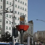 [맛집] 길거리 음식의 꽃 노량진 스페셜 <b>컵밥</b>