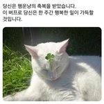 [댓글부탁해] 너희 <b>버릇</b> 뭐있어??