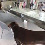 [드루와] 주인님...