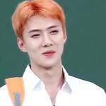 [EXO] ㅊㅂ