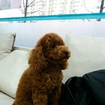 [민<b>홀리</b>] 귀여워