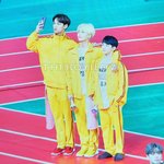 [세븐틴] <b>병아리</b> 뾰쨕