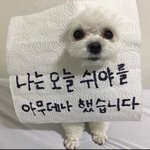 [댓글부탁해] <b>외국</b>에서 욕 어케해??????