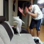 [꼭조언부탁] (추가) 티나는 <b>포샵사진</b> 올리는 지인.. 알려줘야하나요...