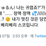 트위터 <b>번역</b>왜이래