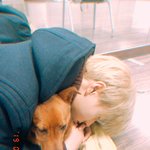 유기견 <b>임시</b>보호하는 아이돌.jpg