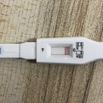 [19] 임테기좀봐<b>주라</b>ㅠㅠ