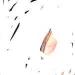 얘들아 나 귀 뚫은 것 좀 봐조