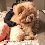 나 에어팟 살려고 돈 모으는 중인데ㅠㅠ