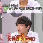 [댓글부탁해] 사실상 아이돌 <b>명언</b> 레전드