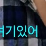 [세븐틴] 막<b>냉이</b> 뿌앱