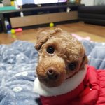 애들아 이거 보지마(<b>심장</b>주의)