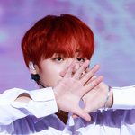 박지훈 <b>이날</b> 언제야?